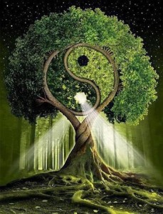 arbre